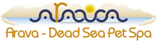 arava logo